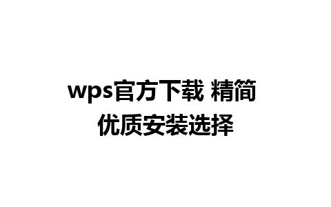 wps官方下载 精简 优质安装选择