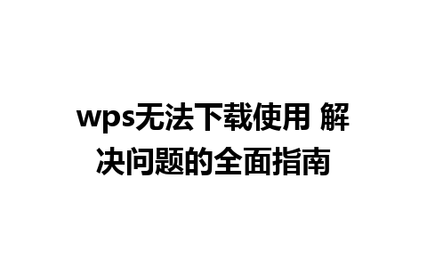 wps无法下载使用 解决问题的全面指南