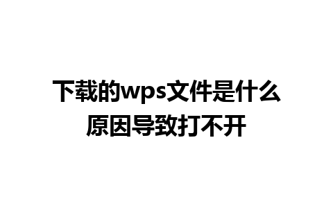 下载的wps文件是什么原因导致打不开