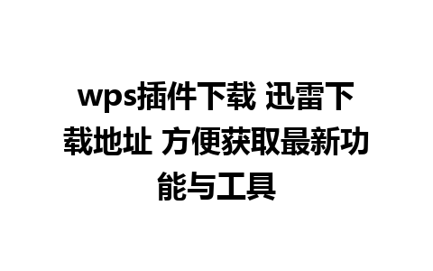 wps插件下载 迅雷下载地址 方便获取最新功能与工具