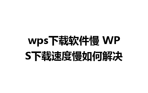 wps下载软件慢 WPS下载速度慢如何解决