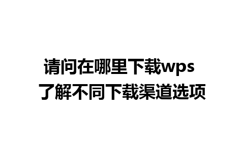 请问在哪里下载wps 了解不同下载渠道选项