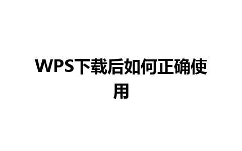 WPS下载后如何正确使用 