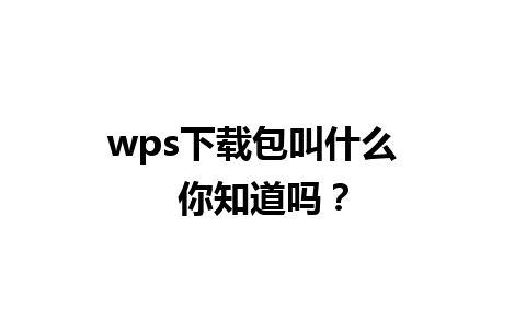 wps下载包叫什么  你知道吗？