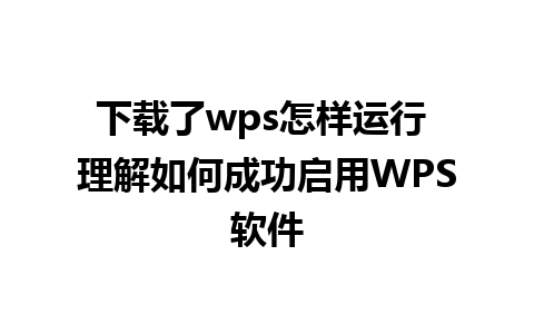 下载了wps怎样运行 理解如何成功启用WPS软件