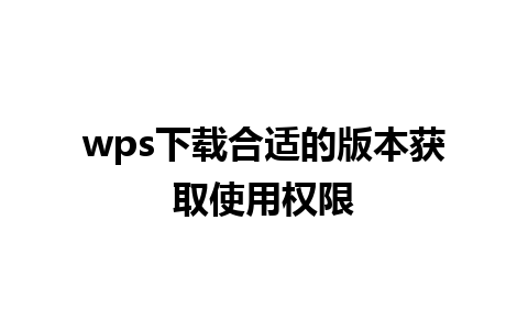 wps下载合适的版本获取使用权限