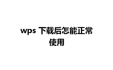 wps 下载后怎能正常使用