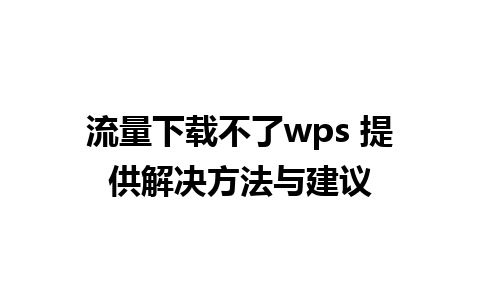 流量下载不了wps 提供解决方法与建议