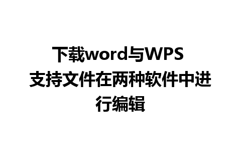 下载word与WPS 支持文件在两种软件中进行编辑