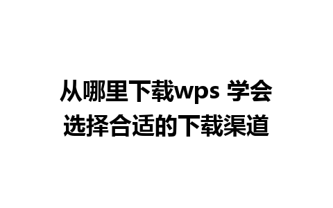 从哪里下载wps 学会选择合适的下载渠道