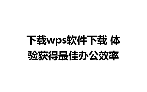 下载wps软件下载 体验获得最佳办公效率