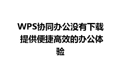 WPS协同办公没有下载 提供便捷高效的办公体验