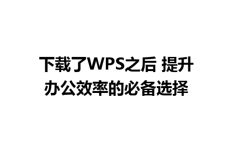 下载了WPS之后 提升办公效率的必备选择