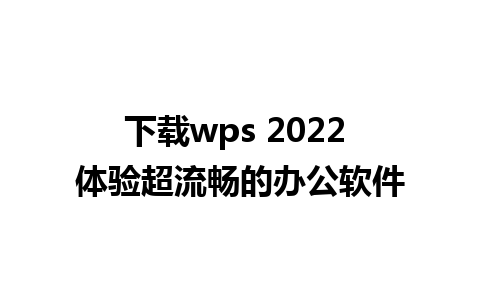 下载wps 2022 体验超流畅的办公软件