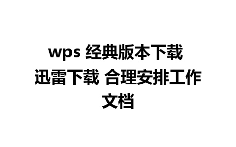 wps 经典版本下载 迅雷下载 合理安排工作文档 