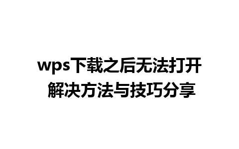 wps下载之后无法打开 解决方法与技巧分享