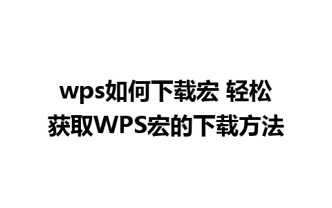 wps如何下载宏 轻松获取WPS宏的下载方法