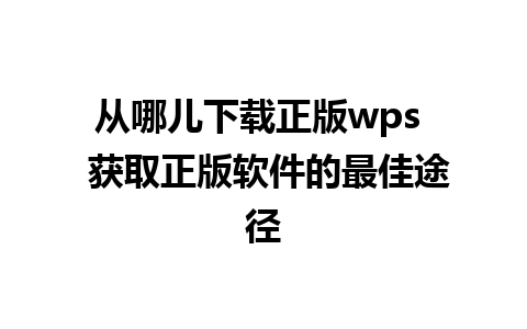 从哪儿下载正版wps  获取正版软件的最佳途径