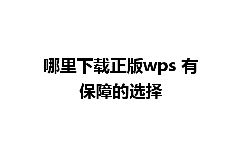 哪里下载正版wps 有保障的选择