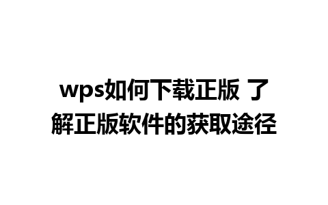 wps如何下载正版 了解正版软件的获取途径