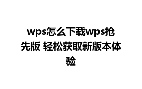 wps怎么下载wps抢先版 轻松获取新版本体验