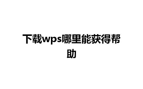 下载wps哪里能获得帮助