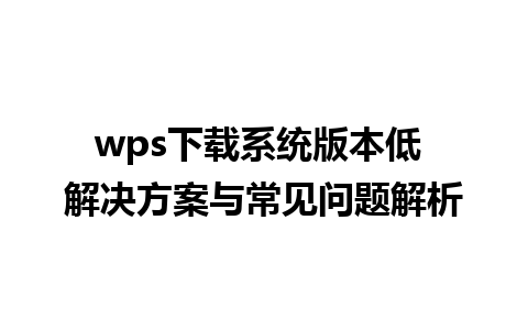 wps下载系统版本低 解决方案与常见问题解析