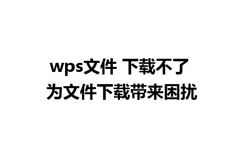 wps文件 下载不了 为文件下载带来困扰