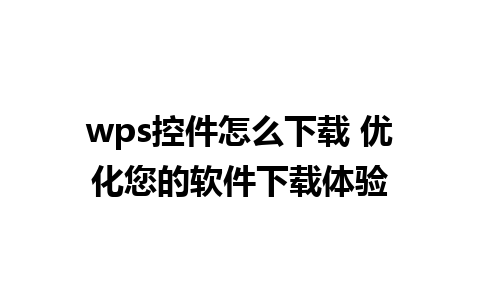 wps控件怎么下载 优化您的软件下载体验