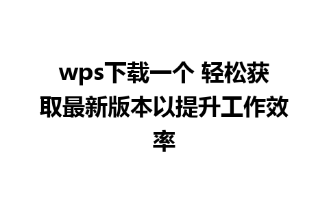 wps下载一个 轻松获取最新版本以提升工作效率