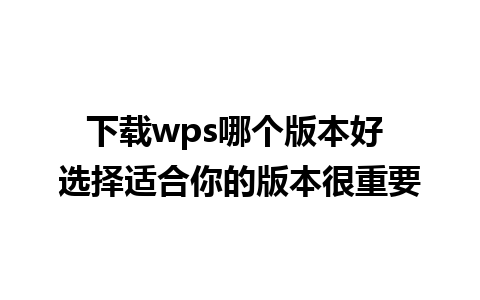 下载wps哪个版本好 选择适合你的版本很重要