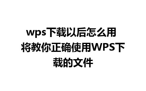 wps下载以后怎么用 将教你正确使用WPS下载的文件