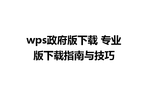 wps政府版下载 专业版下载指南与技巧