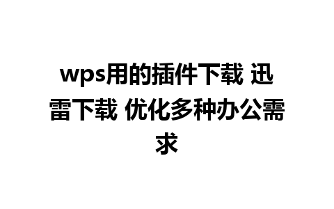 wps用的插件下载 迅雷下载 优化多种办公需求