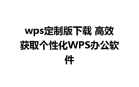 wps定制版下载 高效获取个性化WPS办公软件