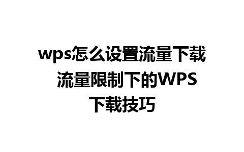 wps怎么设置流量下载  流量限制下的WPS下载技巧