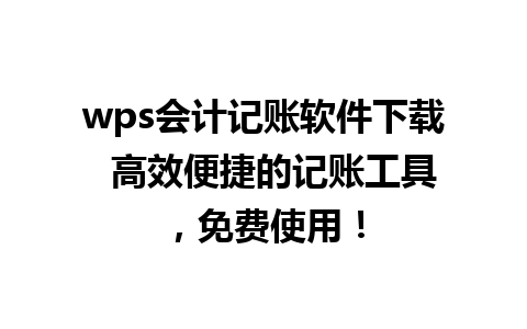 wps会计记账软件下载  高效便捷的记账工具，免费使用！