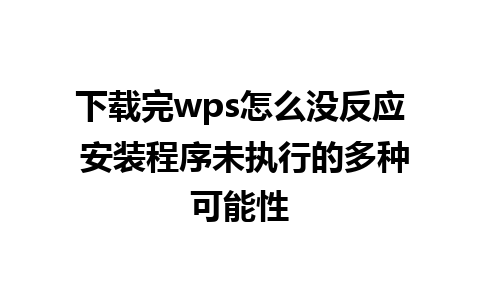 下载完wps怎么没反应 安装程序未执行的多种可能性