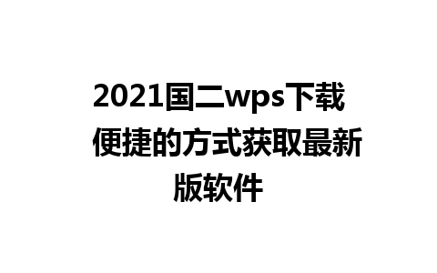 2021国二wps下载  便捷的方式获取最新版软件