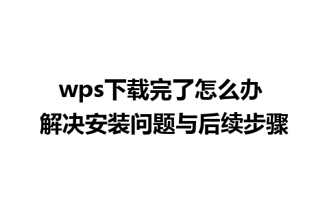 wps下载完了怎么办 解决安装问题与后续步骤