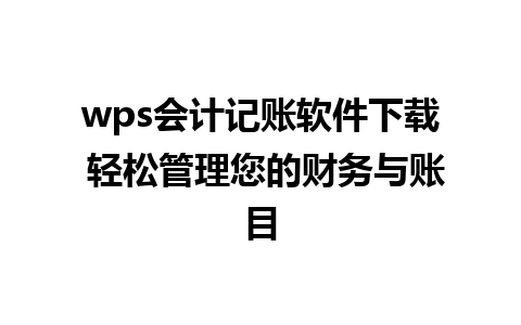 wps会计记账软件下载 轻松管理您的财务与账目