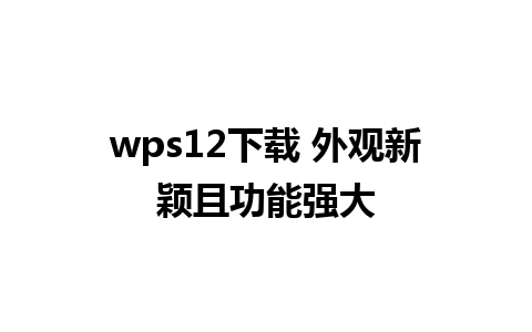 wps12下载 外观新颖且功能强大