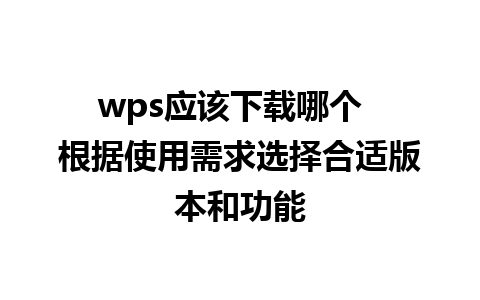 wps应该下载哪个  根据使用需求选择合适版本和功能