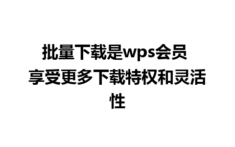 批量下载是wps会员 享受更多下载特权和灵活性