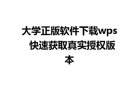 大学正版软件下载wps  快速获取真实授权版本