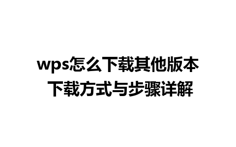 wps怎么下载其他版本 下载方式与步骤详解