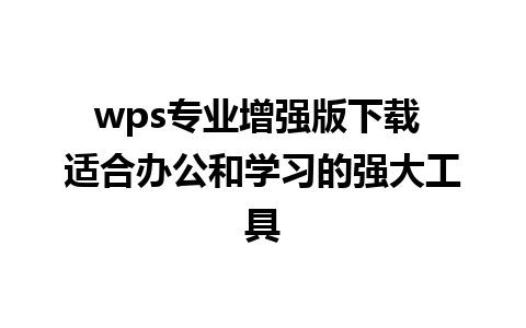 wps专业增强版下载 适合办公和学习的强大工具