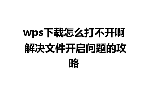 wps下载怎么打不开啊 解决文件开启问题的攻略