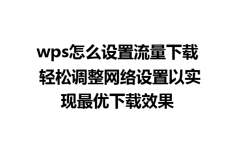 wps怎么设置流量下载 轻松调整网络设置以实现最优下载效果