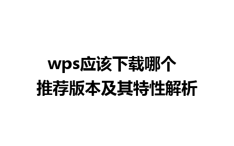 wps应该下载哪个  推荐版本及其特性解析